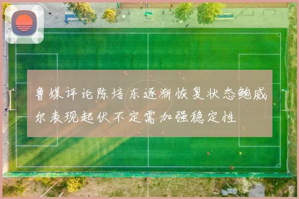 鲁媒评论陈培东逐渐恢复状态鲍威尔表现起伏不定需加强稳定性