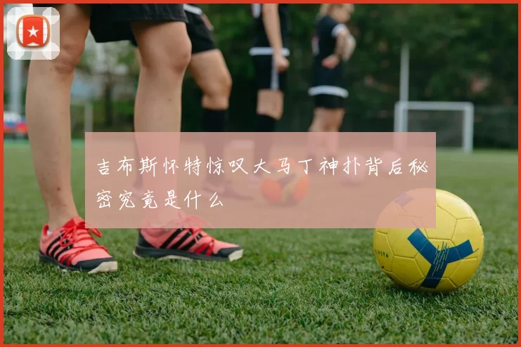 吉布斯怀特惊叹大马丁神扑背后秘密究竟是什么